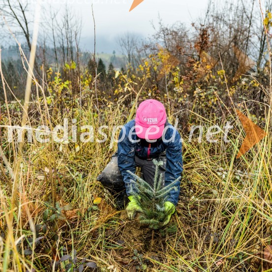 Začelo se je pogozdovanje, ki bo ozelenilo Slovenijo