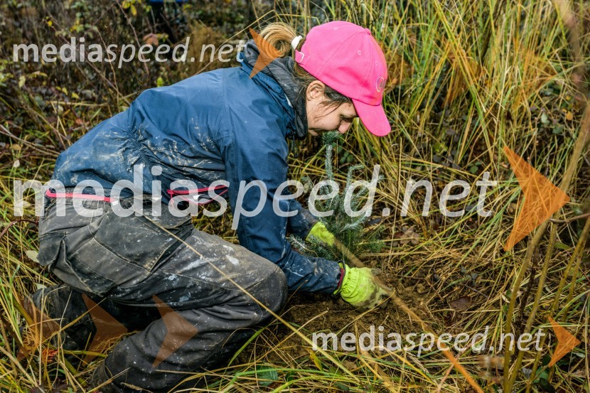 Začelo se je pogozdovanje, ki bo ozelenilo Slovenijo