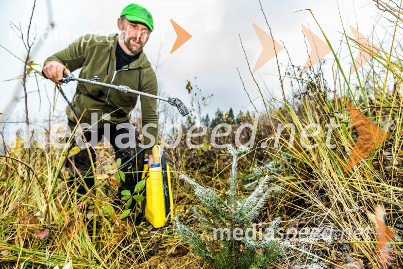 Začelo se je pogozdovanje, ki bo ozelenilo Slovenijo