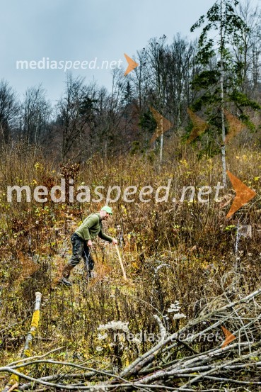 Začelo se je pogozdovanje, ki bo ozelenilo Slovenijo