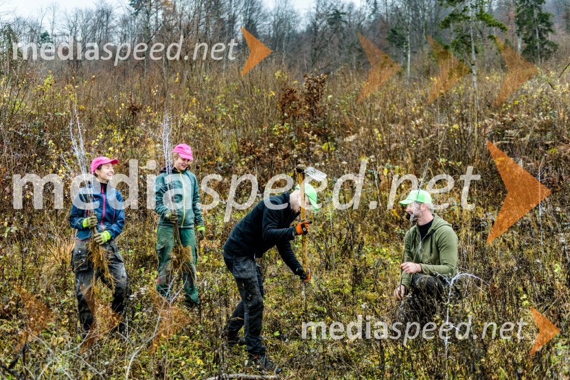 Začelo se je pogozdovanje, ki bo ozelenilo Slovenijo