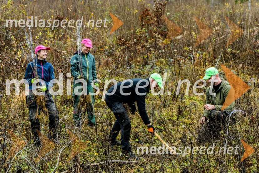 Začelo se je pogozdovanje, ki bo ozelenilo Slovenijo