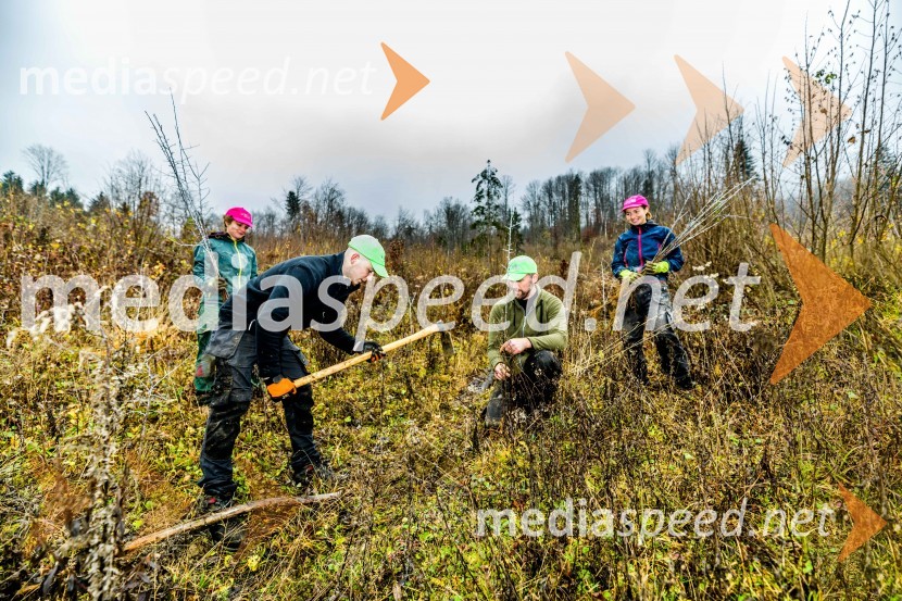 Začelo se je pogozdovanje, ki bo ozelenilo Slovenijo