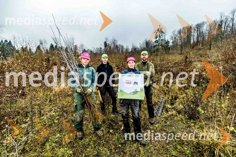 Začelo se je pogozdovanje, ki bo ozelenilo Slovenijo