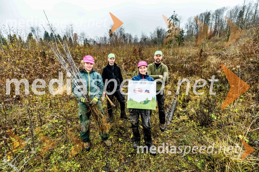 Začelo se je pogozdovanje, ki bo ozelenilo Slovenijo