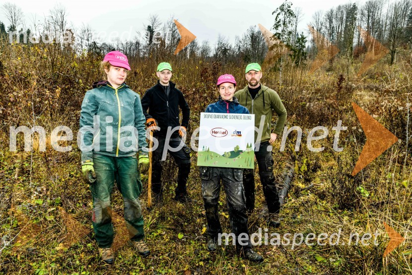 Začelo se je pogozdovanje, ki bo ozelenilo Slovenijo