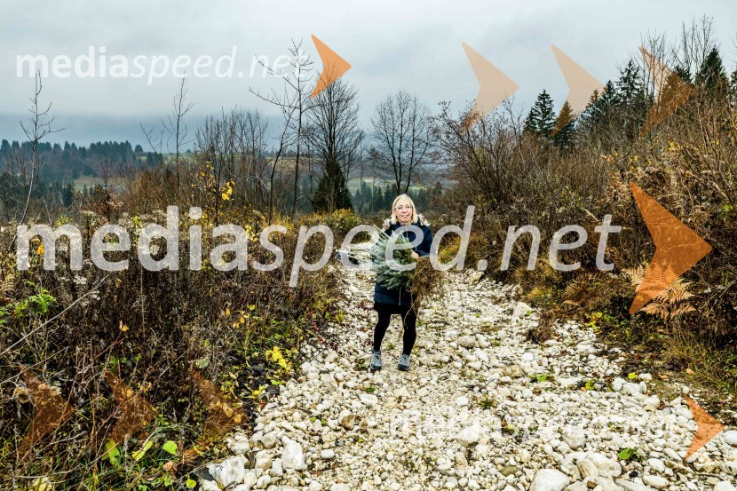 Začelo se je pogozdovanje, ki bo ozelenilo Slovenijo