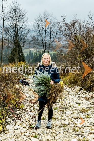 Začelo se je pogozdovanje, ki bo ozelenilo Slovenijo
