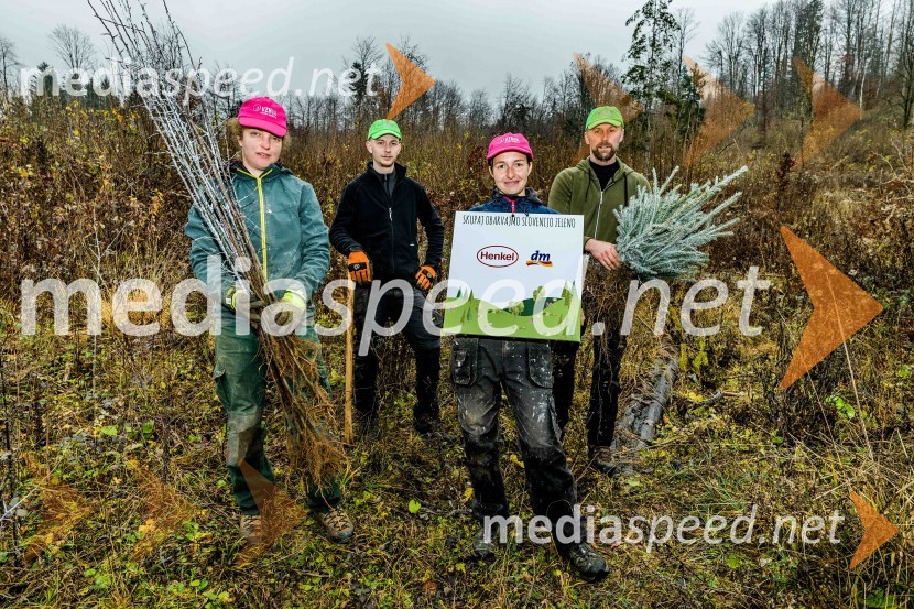 Začelo se je pogozdovanje, ki bo ozelenilo Slovenijo