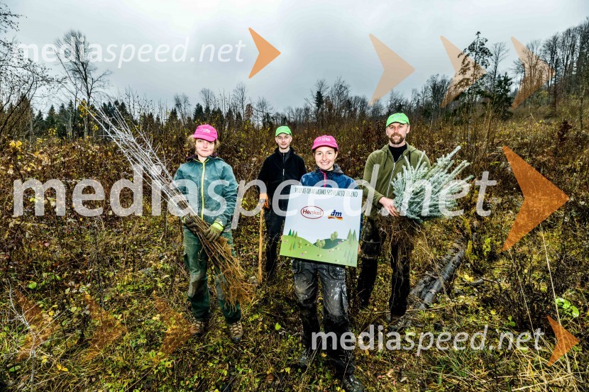 Začelo se je pogozdovanje, ki bo ozelenilo Slovenijo
