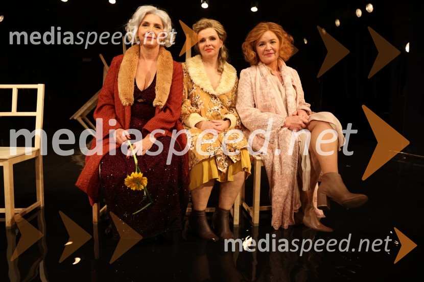 Lepe vide lepo gorijo, premiera drame, Prešernovo gledališče Kranj