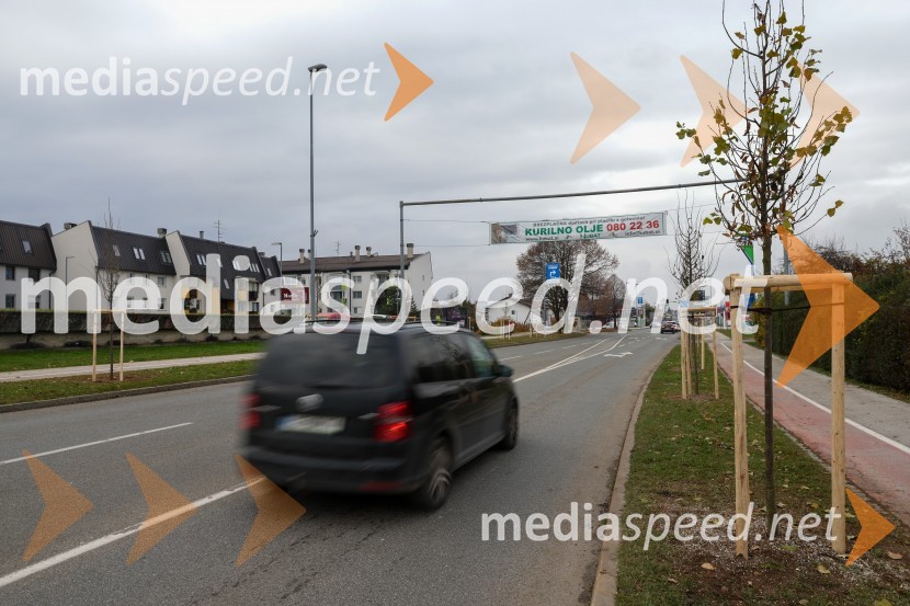 V Kranju začeli z akcijo »KR posvoji drevo«