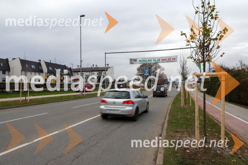 V Kranju začeli z akcijo »KR posvoji drevo«