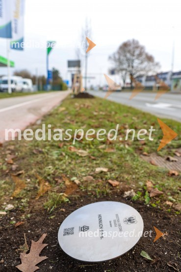 V Kranju začeli z akcijo »KR posvoji drevo«