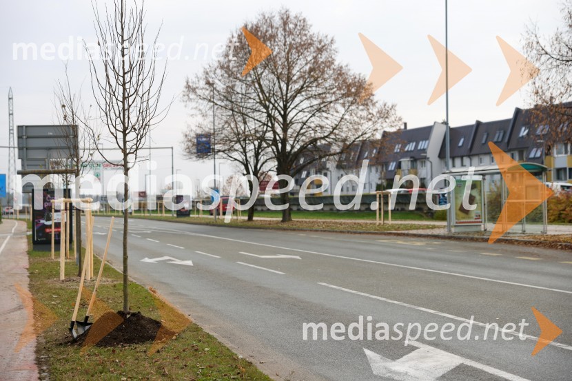 V Kranju začeli z akcijo »KR posvoji drevo«