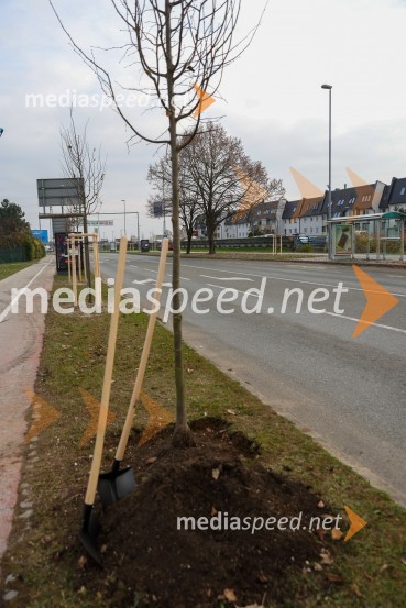 V Kranju začeli z akcijo »KR posvoji drevo«