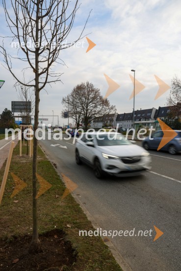 V Kranju začeli z akcijo »KR posvoji drevo«