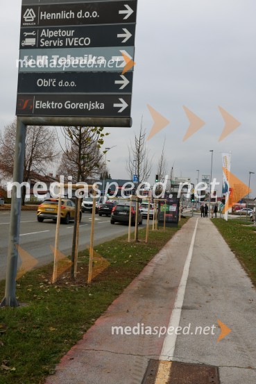 V Kranju začeli z akcijo »KR posvoji drevo«