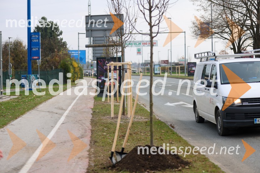 V Kranju začeli z akcijo »KR posvoji drevo«