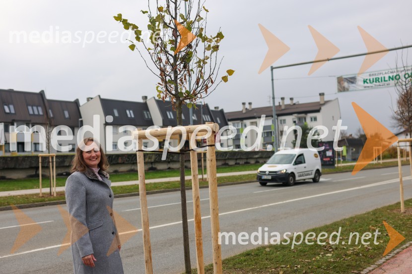 V Kranju začeli z akcijo »KR posvoji drevo«