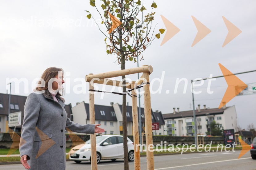 V Kranju začeli z akcijo »KR posvoji drevo«