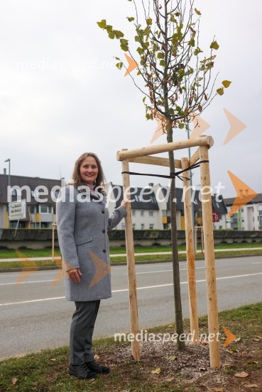 V Kranju začeli z akcijo »KR posvoji drevo«