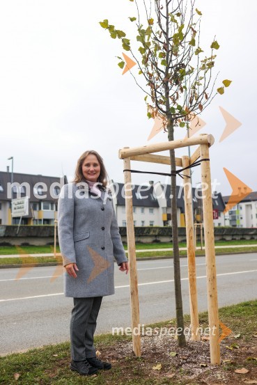 V Kranju začeli z akcijo »KR posvoji drevo«