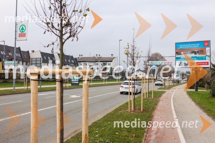 V Kranju začeli z akcijo »KR posvoji drevo«