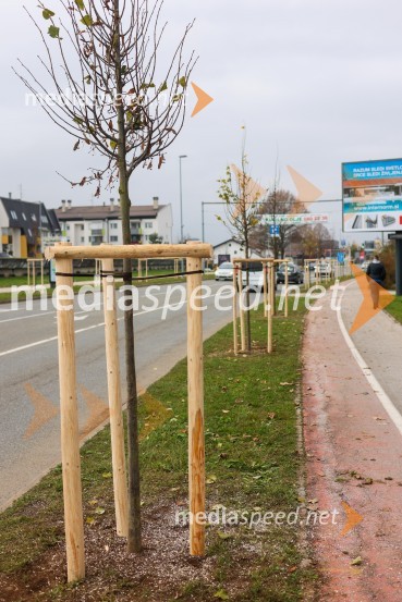 V Kranju začeli z akcijo »KR posvoji drevo«