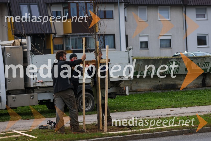 V Kranju začeli z akcijo »KR posvoji drevo«