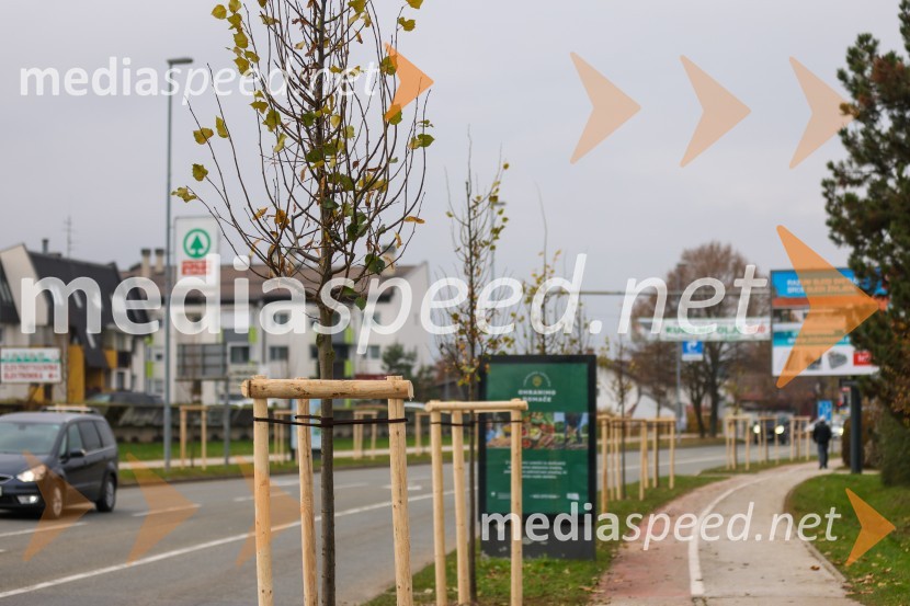 V Kranju začeli z akcijo »KR posvoji drevo«