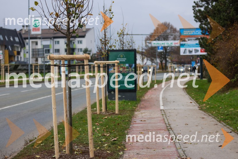 V Kranju začeli z akcijo »KR posvoji drevo«