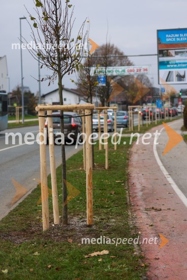 V Kranju začeli z akcijo »KR posvoji drevo«
