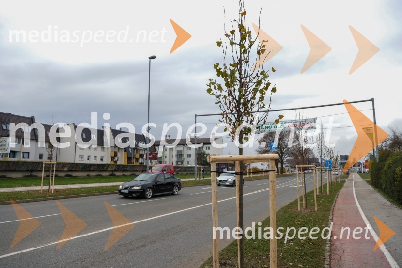 V Kranju začeli z akcijo »KR posvoji drevo«