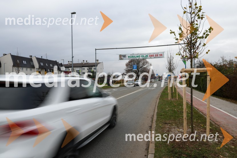 V Kranju začeli z akcijo »KR posvoji drevo«