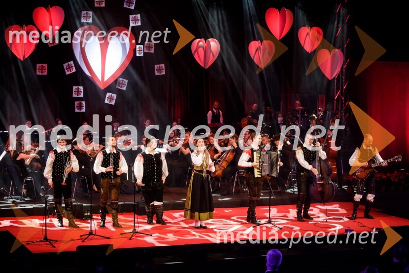 Ansambel Saša AvsenikaKlic dobrote 2021, dobrodelni koncert