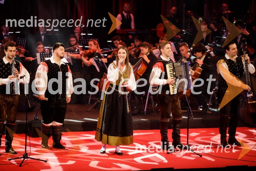 Ansambel Saša AvsenikaKlic dobrote 2021, dobrodelni koncert