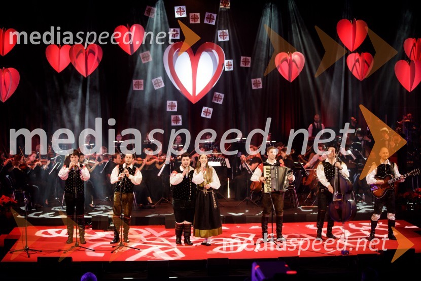 Ansambel Saša AvsenikaKlic dobrote 2021, dobrodelni koncert