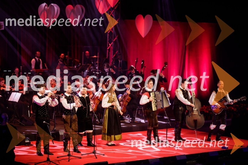 Ansambel Saša AvsenikaKlic dobrote 2021, dobrodelni koncert