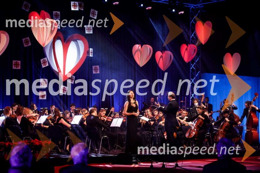 Klic dobrote 2021, dobrodelni koncert