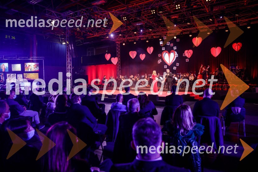 Klic dobrote 2021, dobrodelni koncert