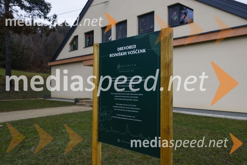 V Kranju začeli z akcijo »KR posvoji drevo«