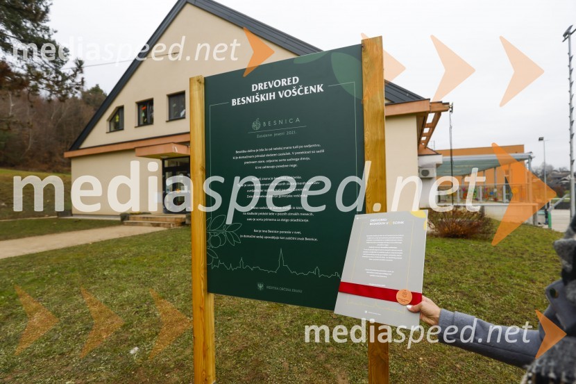 V Kranju začeli z akcijo »KR posvoji drevo«