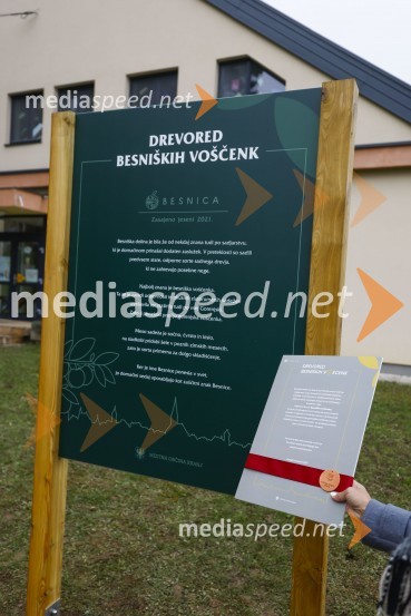 V Kranju začeli z akcijo »KR posvoji drevo«