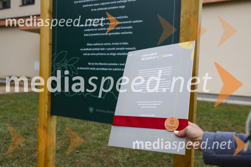 V Kranju začeli z akcijo »KR posvoji drevo«