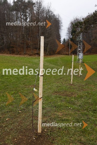 V Kranju začeli z akcijo »KR posvoji drevo«