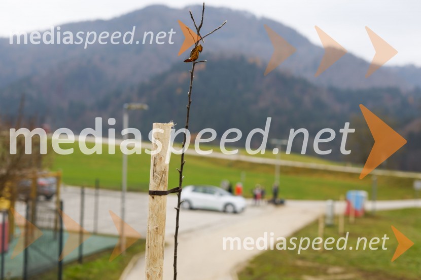 V Kranju začeli z akcijo »KR posvoji drevo«