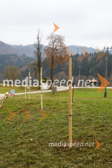 V Kranju začeli z akcijo »KR posvoji drevo«