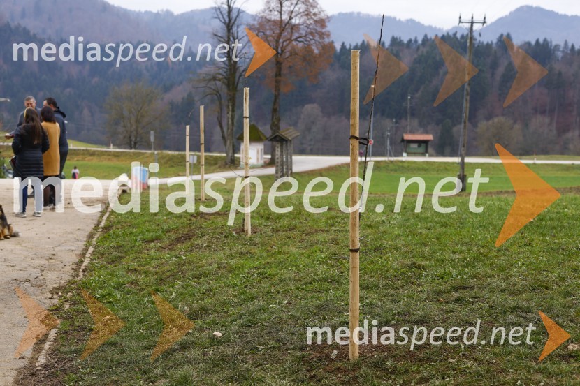 V Kranju začeli z akcijo »KR posvoji drevo«