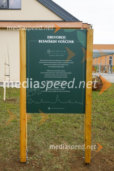 V Kranju začeli z akcijo »KR posvoji drevo«